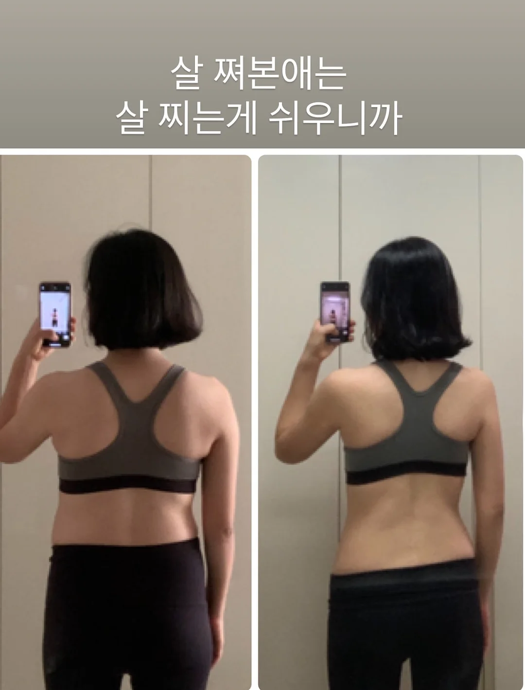 베베스완 이터니티 아기띠 2