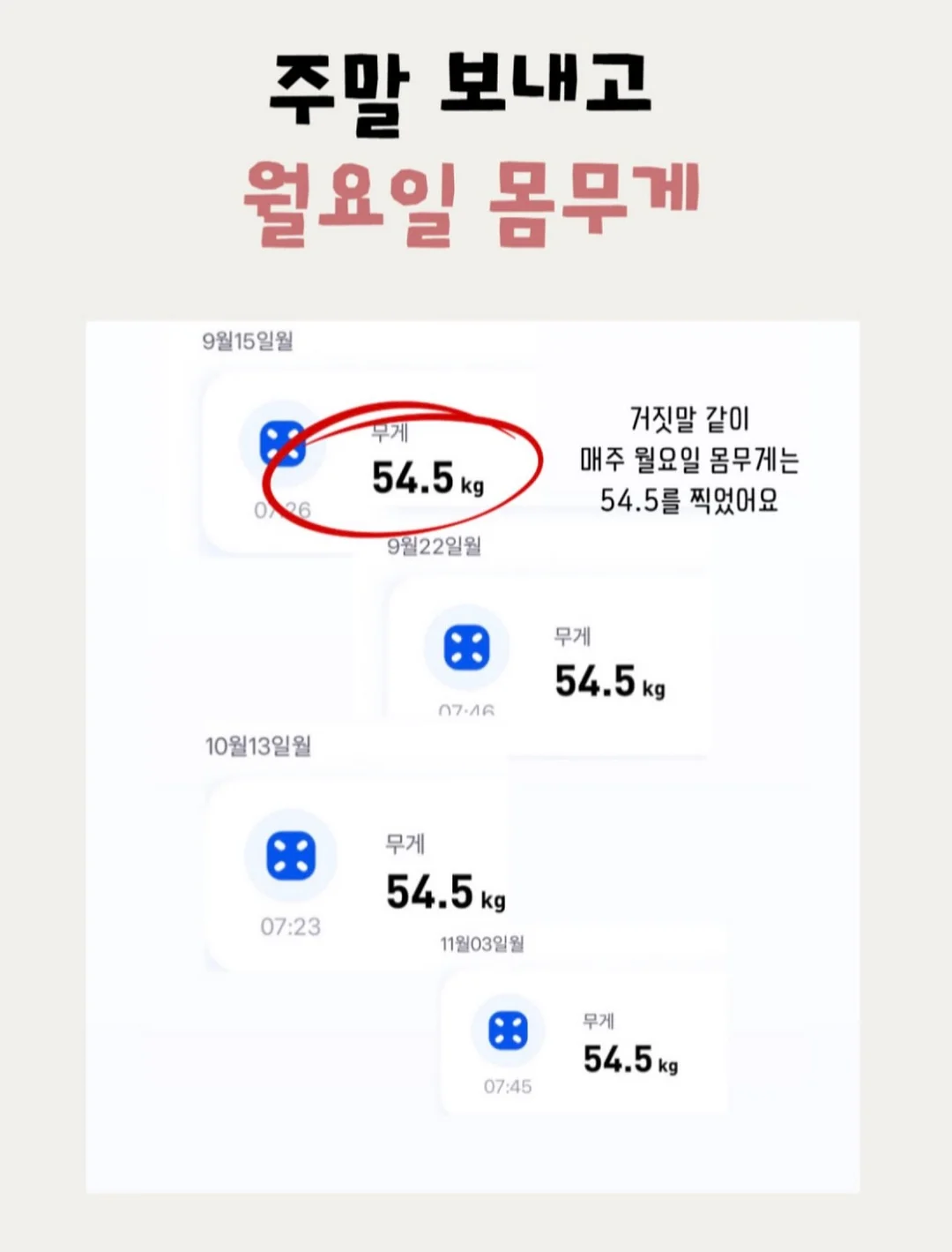 베베스완 이터니티 아기띠 8
