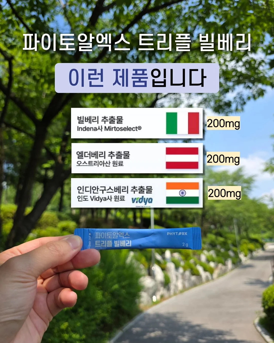Fünf 5부 팬츠 2