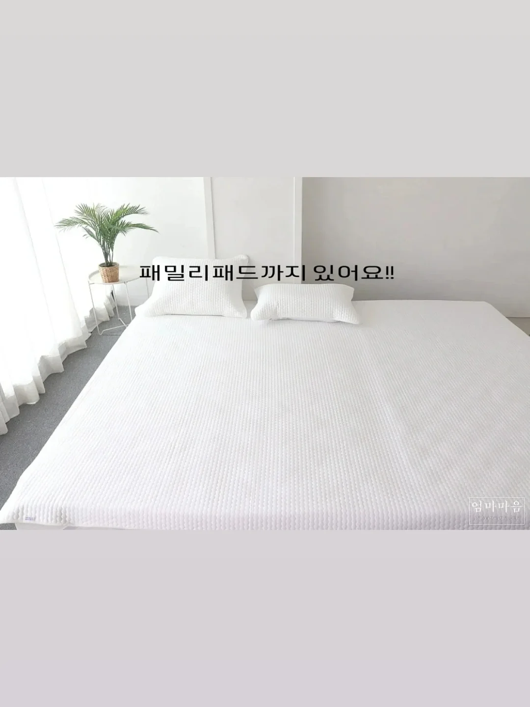 베지어곡선 시각화 스크립트 8
