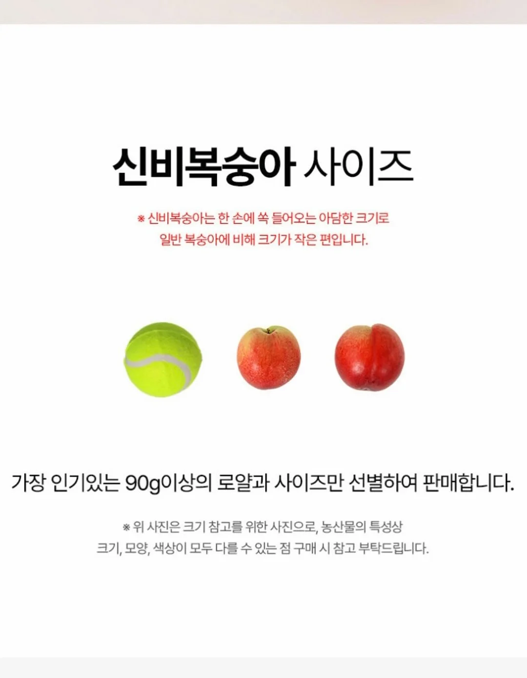 코이드 마스크팩 13