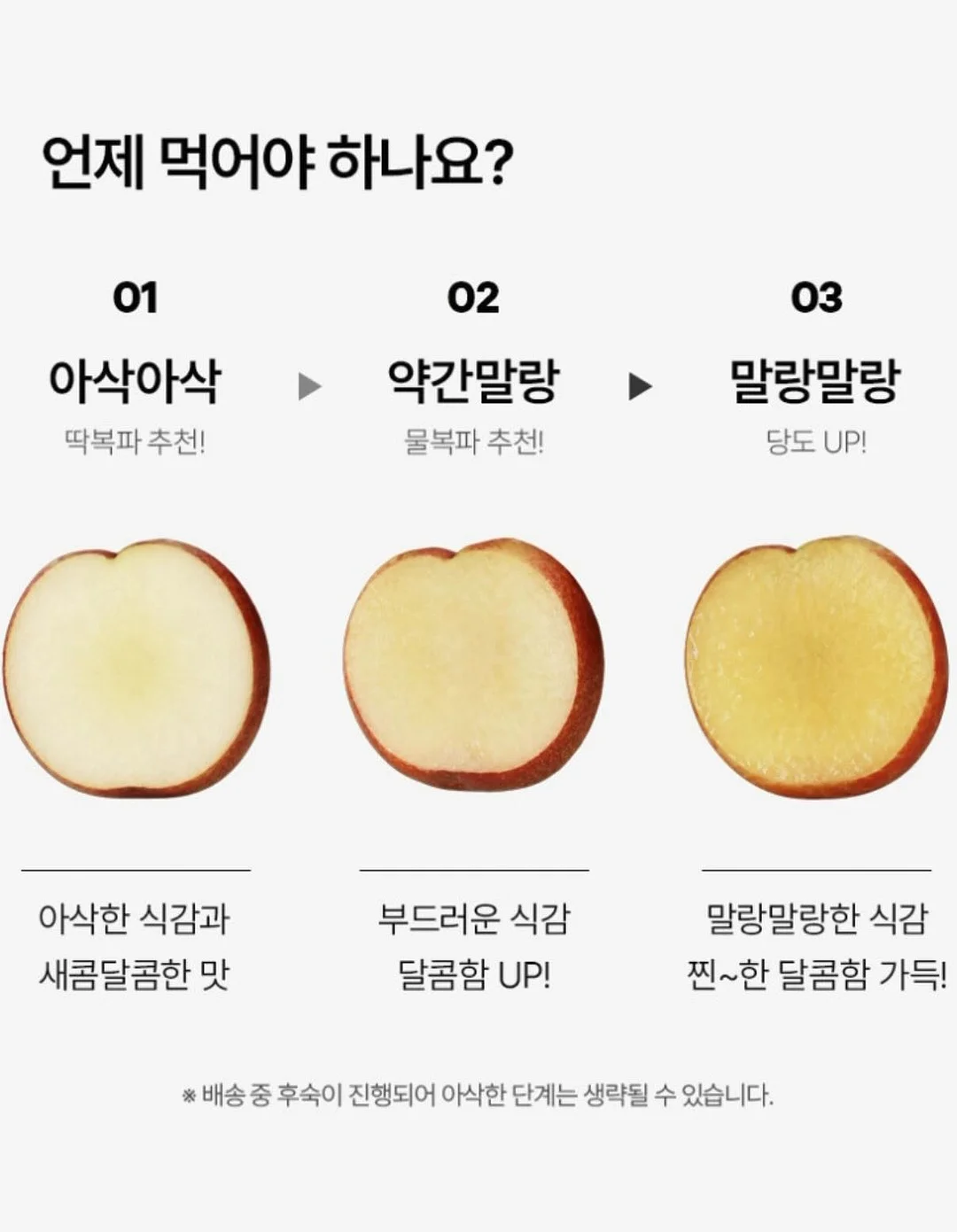 코이드 마스크팩 15