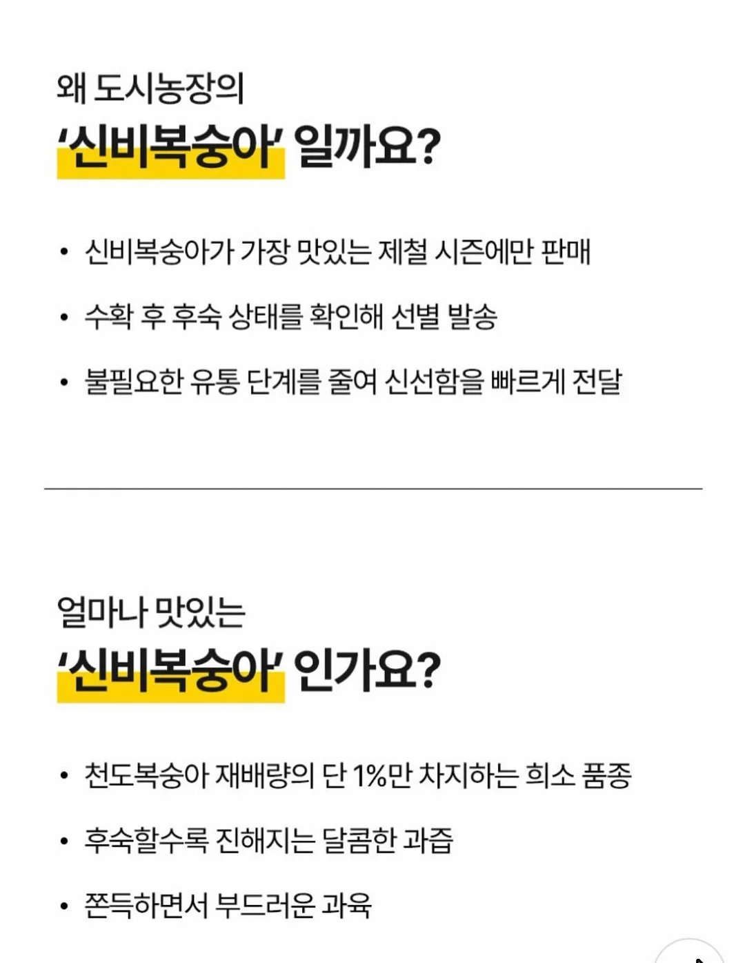 코이드 마스크팩 8