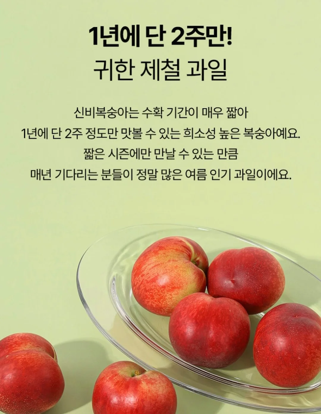 코이드 마스크팩 10