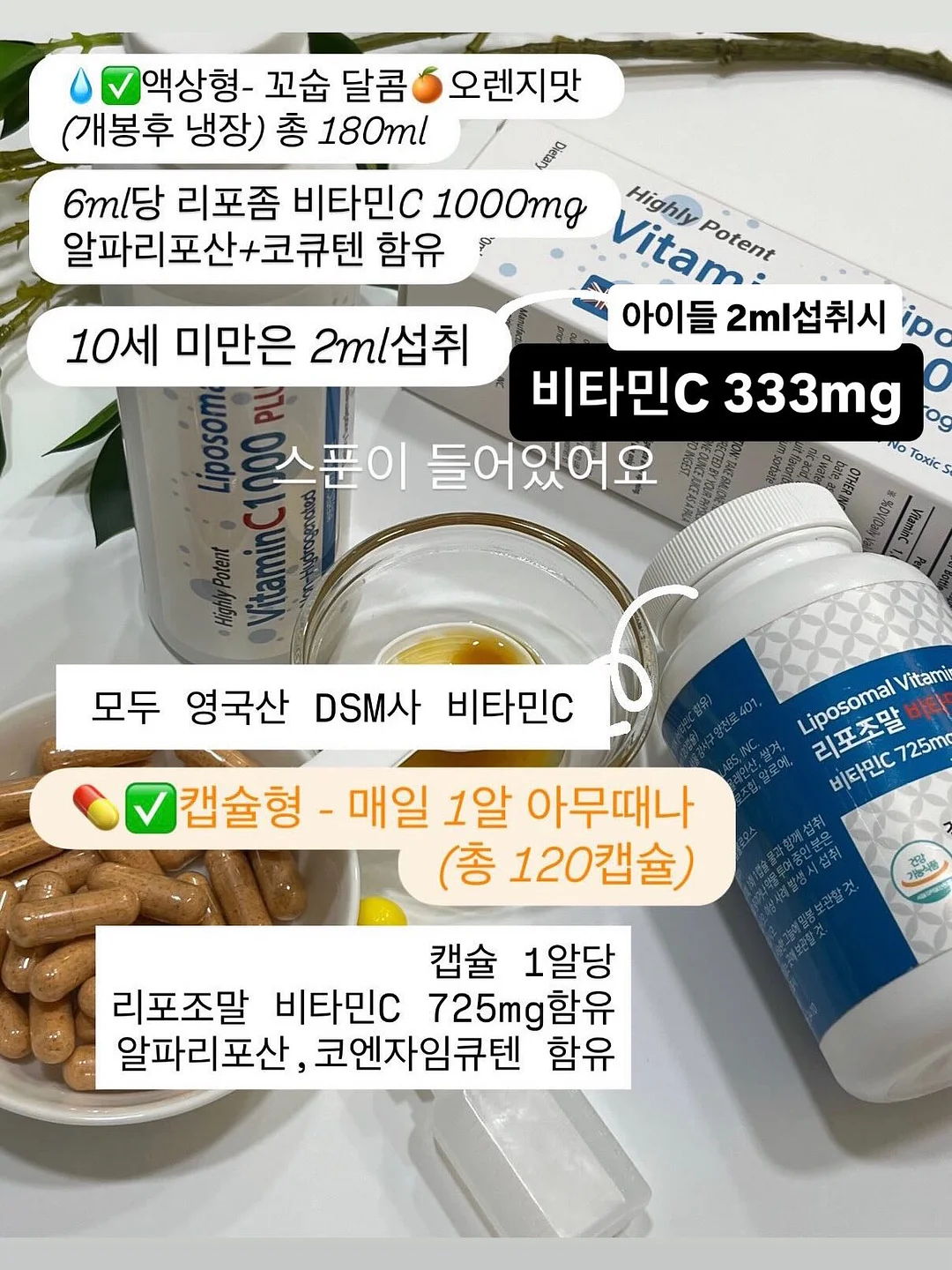 모이사 나이트 네크리스 6