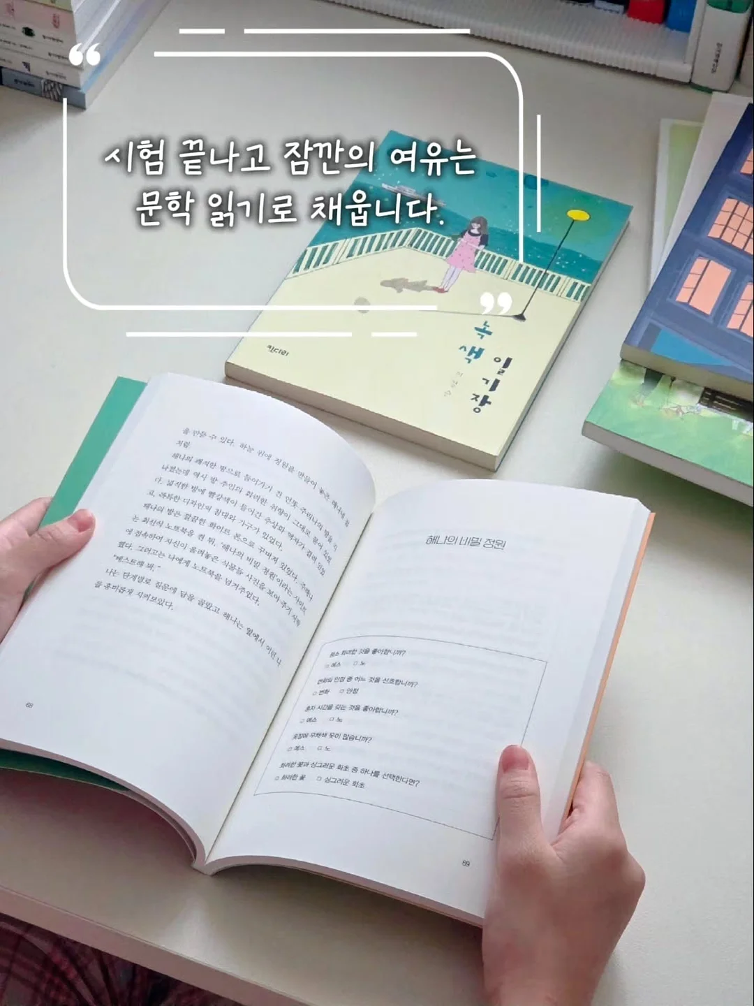 제주 수수미미 독채풀빌라 3