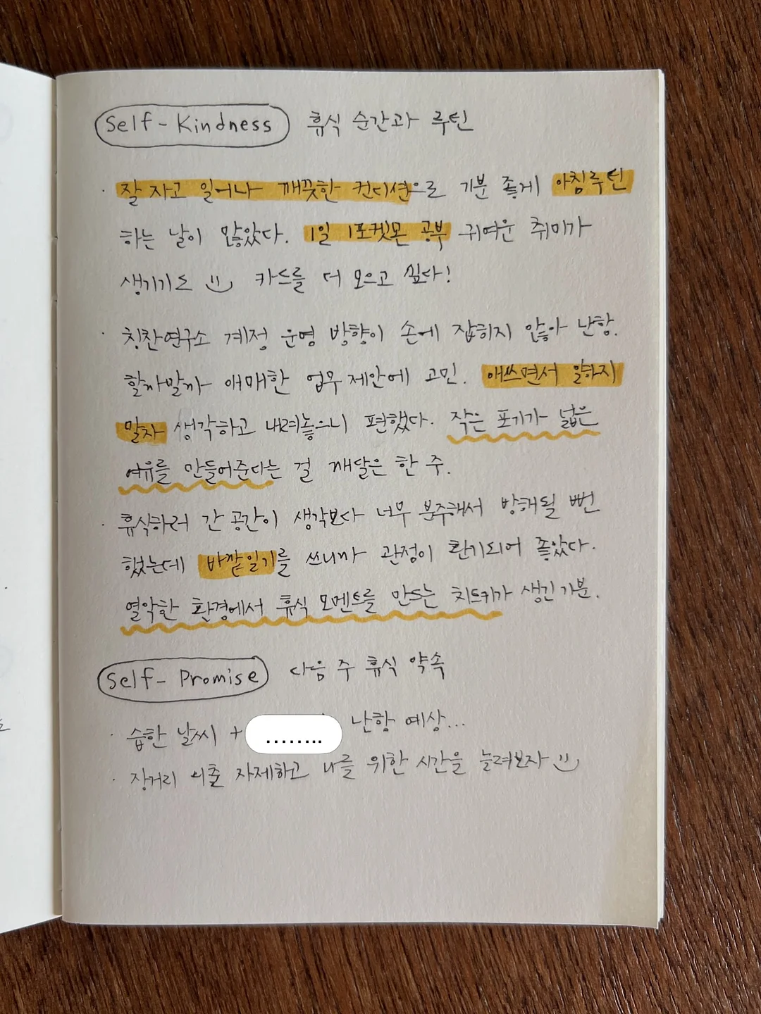 디디오랩 무선 접이식 선풍기 2