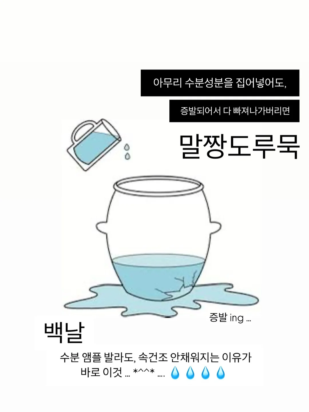 자포니카 민물장어 600g 6