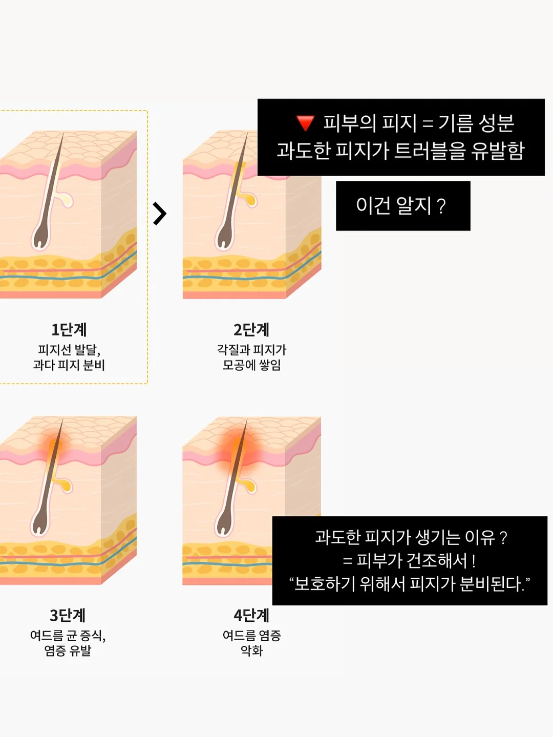 자포니카 민물장어 600g 9