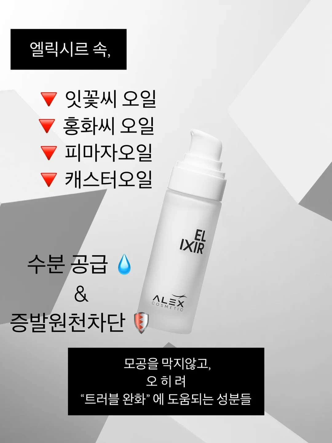 자포니카 민물장어 600g 10