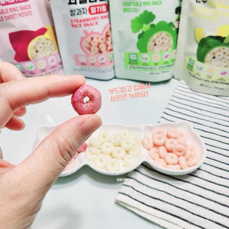 호접란화분 5