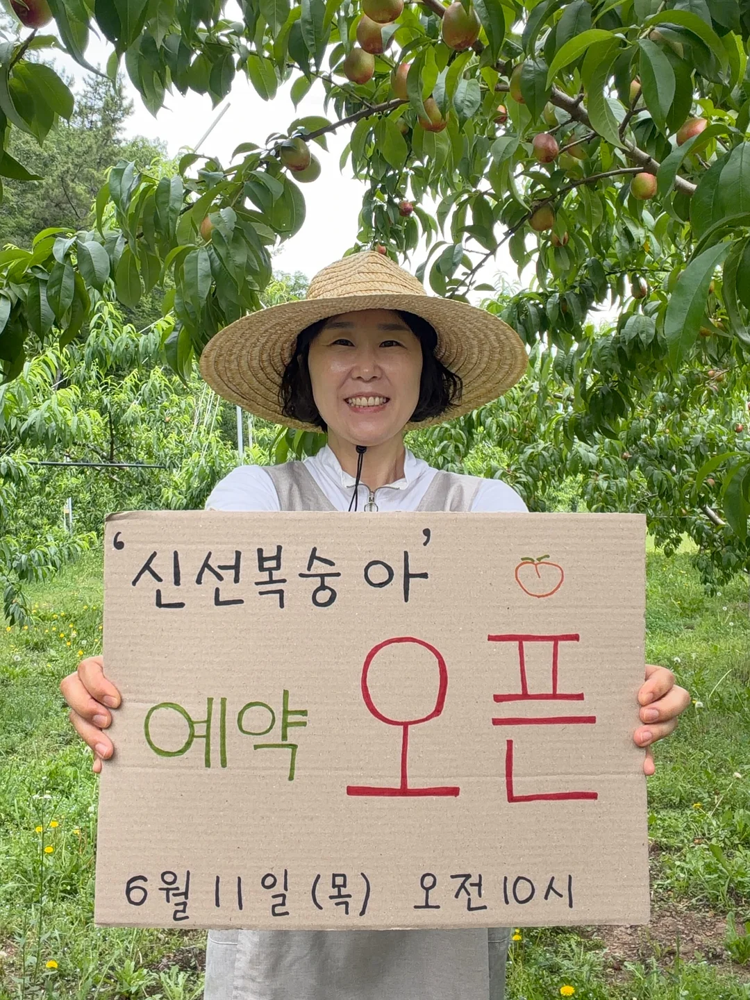 후 아티스트 예술 인물 시리즈 1