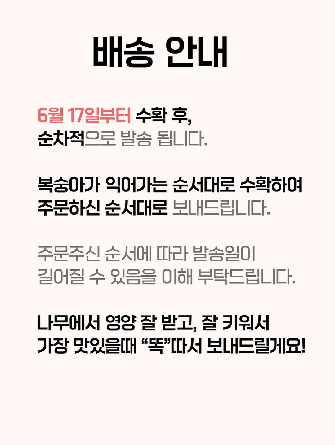 후 아티스트 예술 인물 시리즈 3