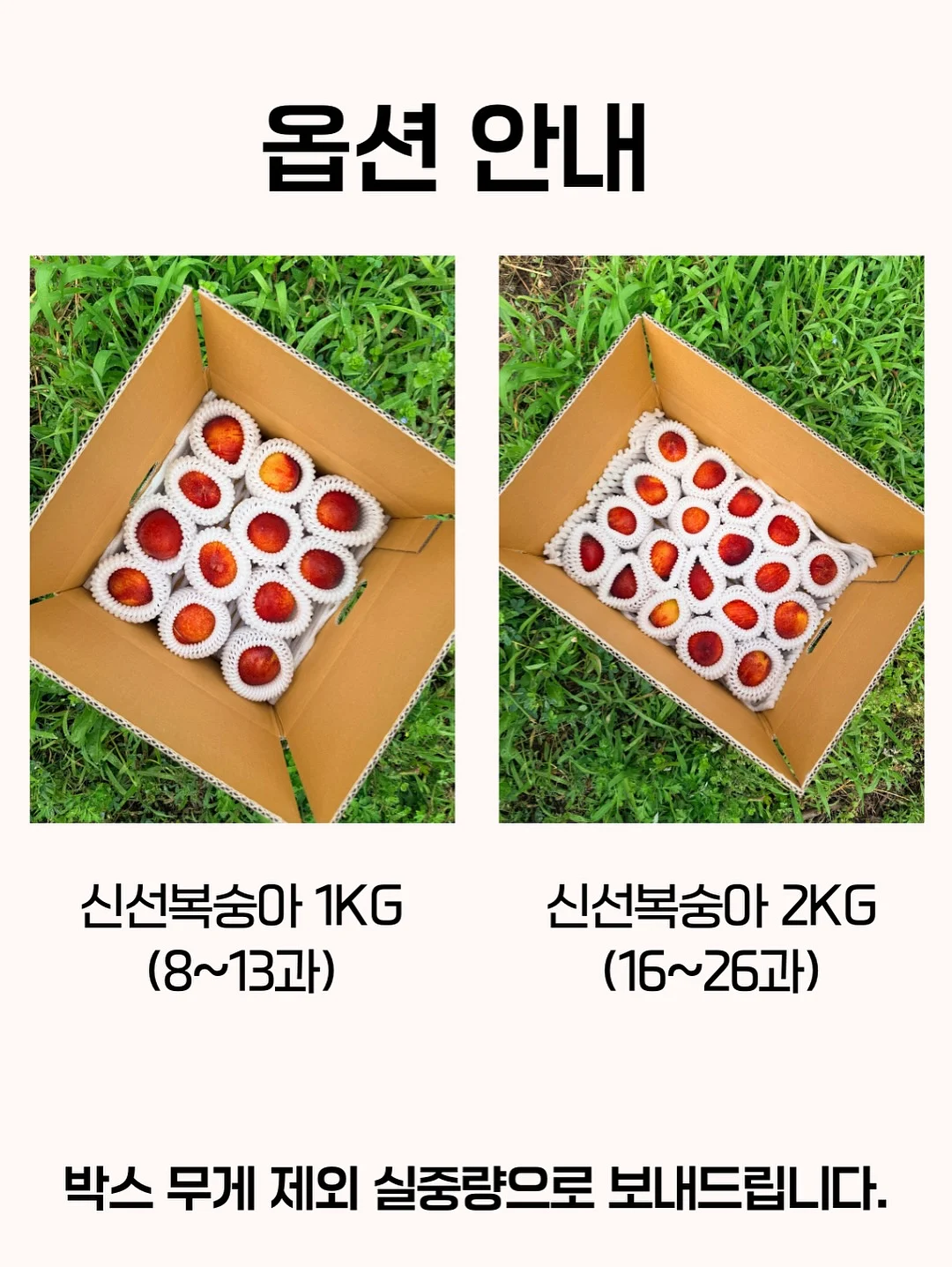후 아티스트 예술 인물 시리즈 4