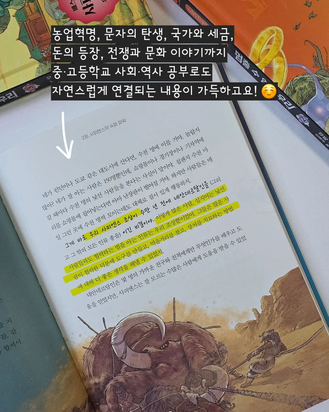 커브형 밀대걸레 13