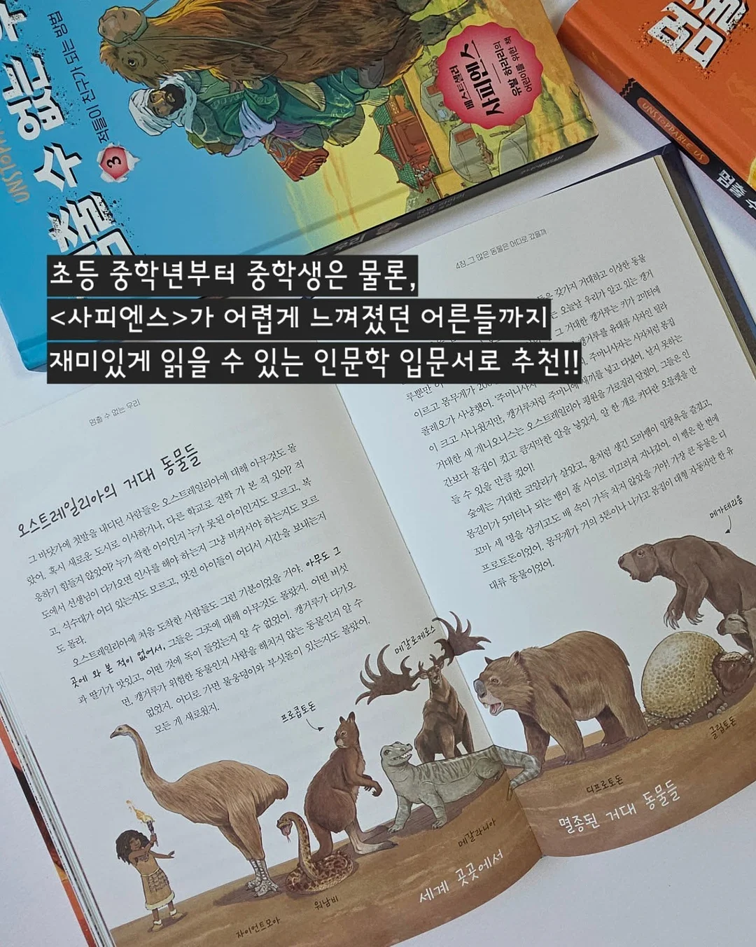 커브형 밀대걸레 15