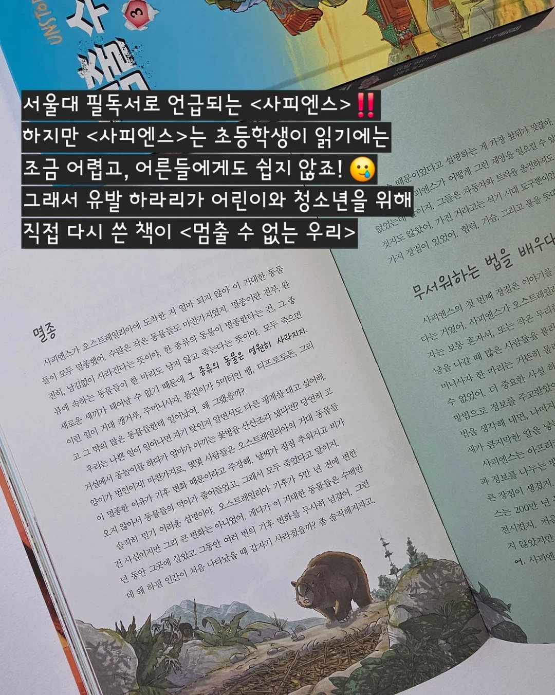커브형 밀대걸레 7