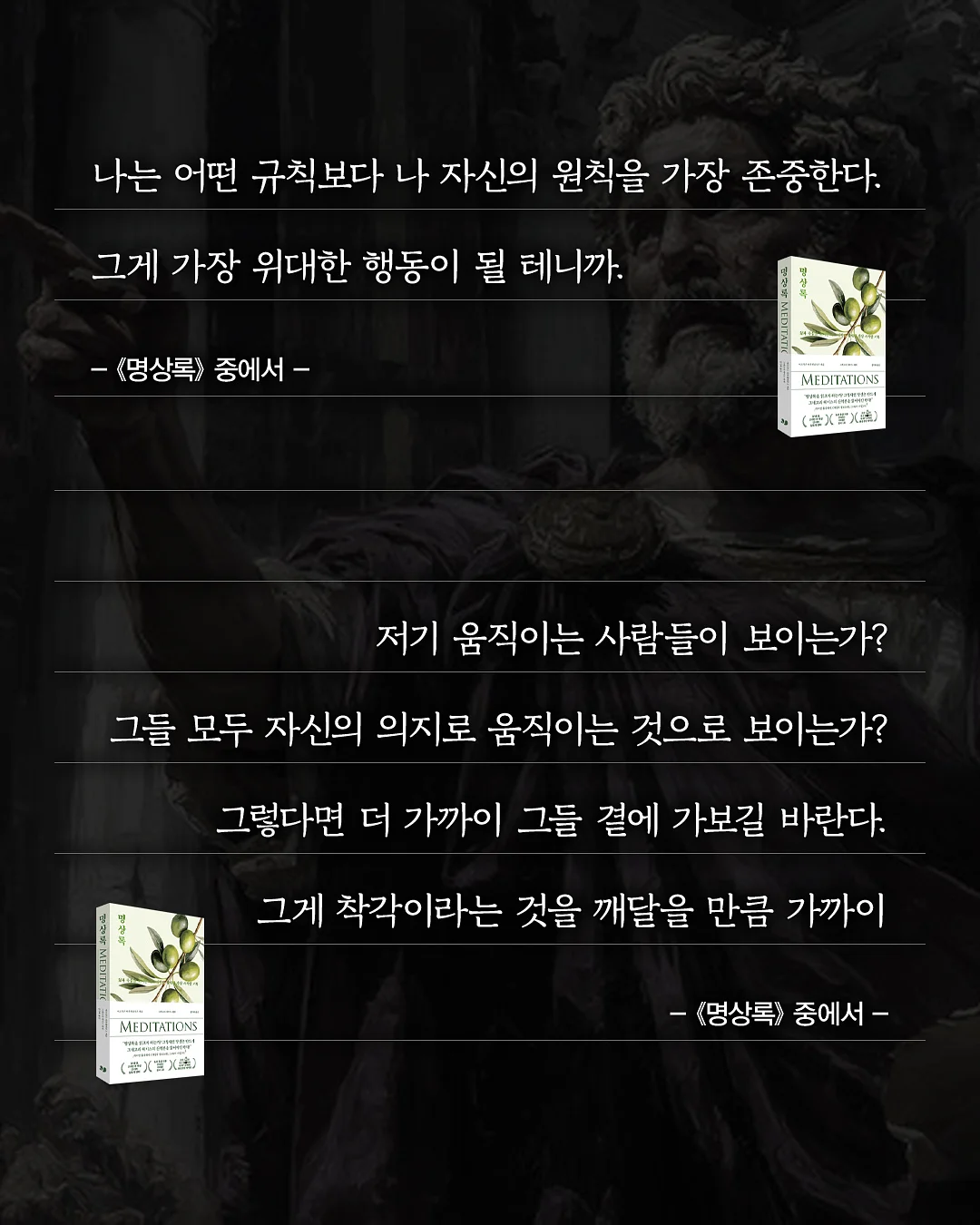 작약 꽃바구니 8