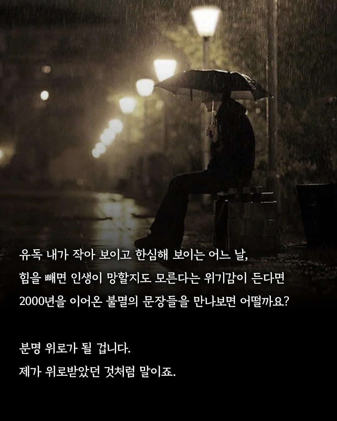 작약 꽃바구니 9