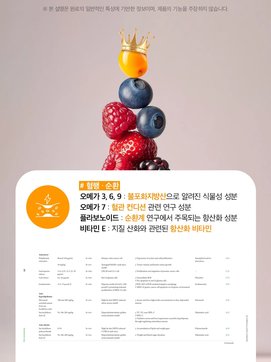 플랫퍼 무드 상품 12