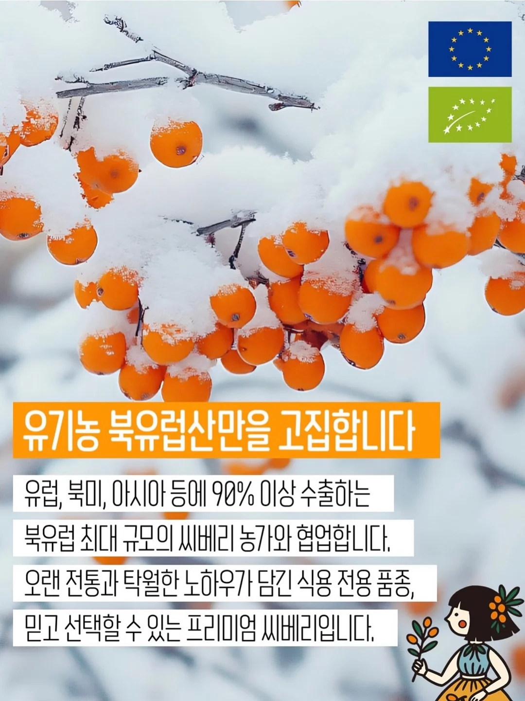 플랫퍼 무드 상품 6