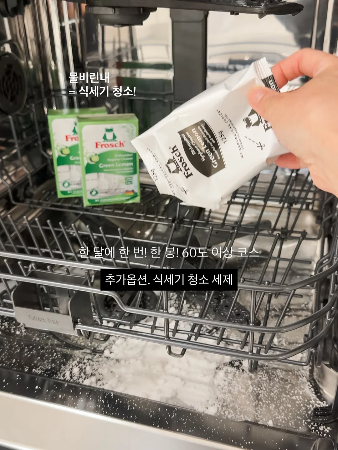 영어초보 탈출 강의 19