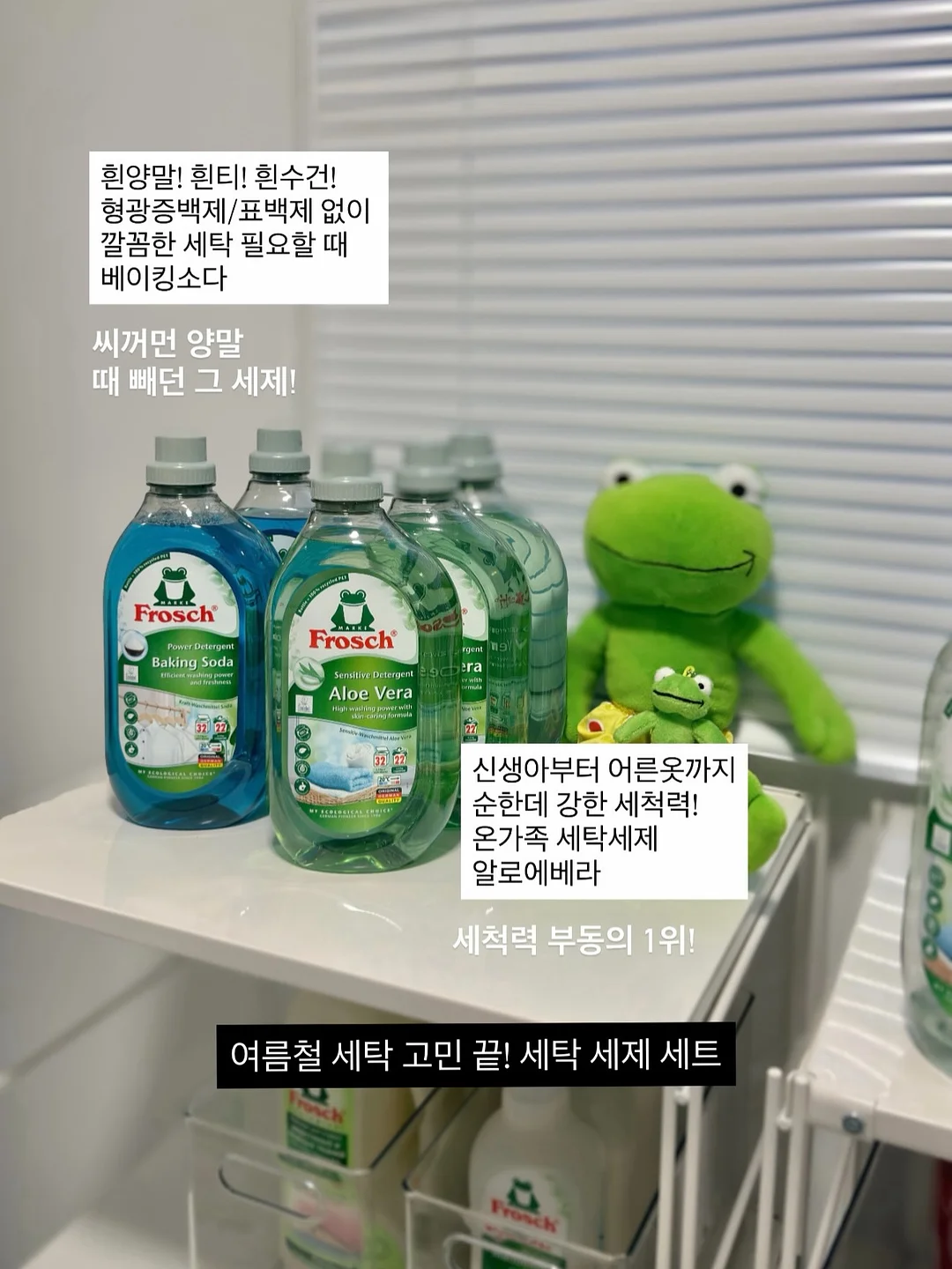 영어초보 탈출 강의 8