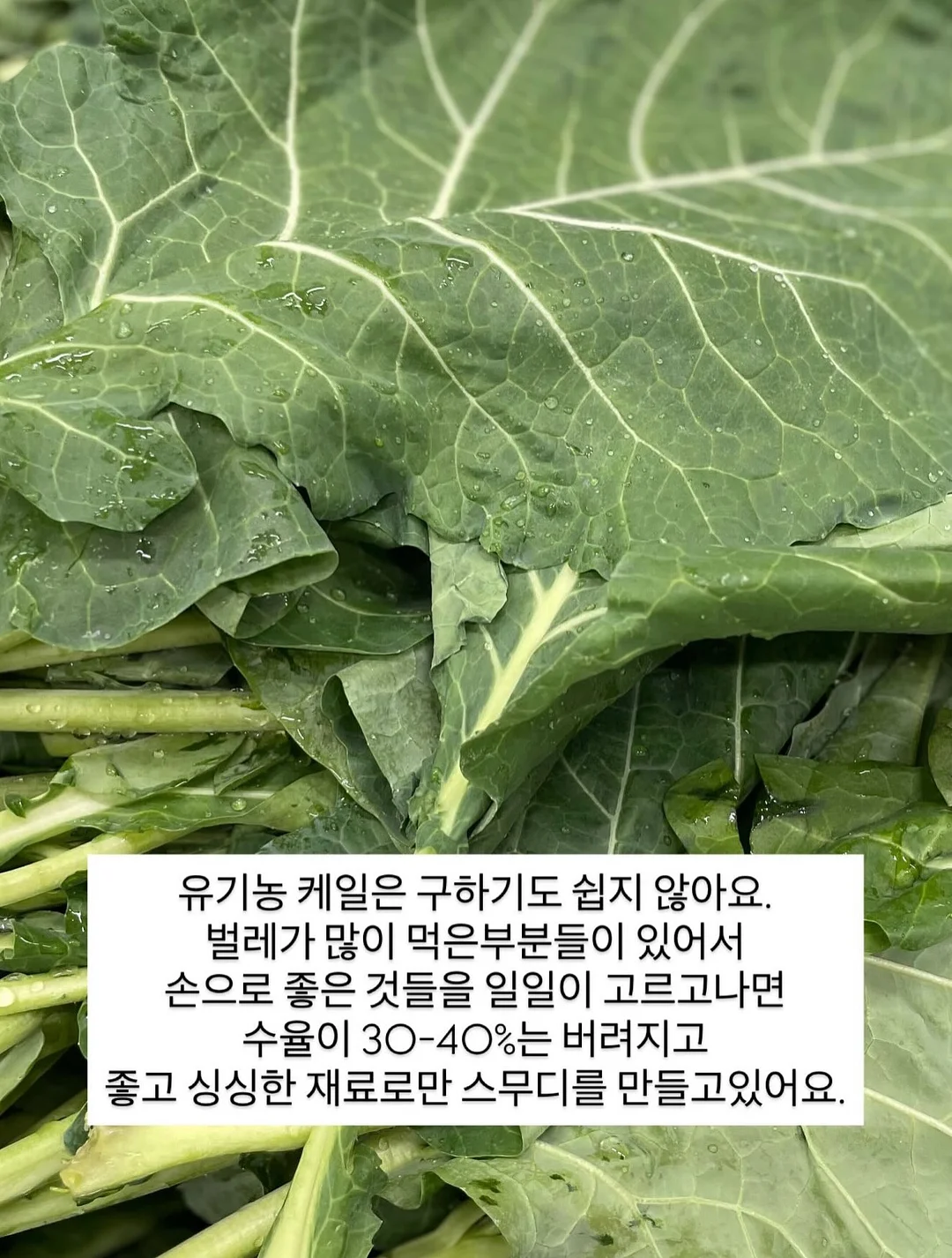 장미 꽃다발 3