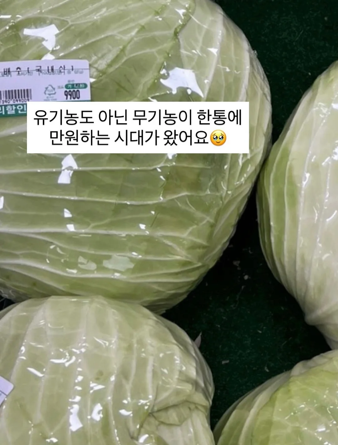 장미 꽃다발 7