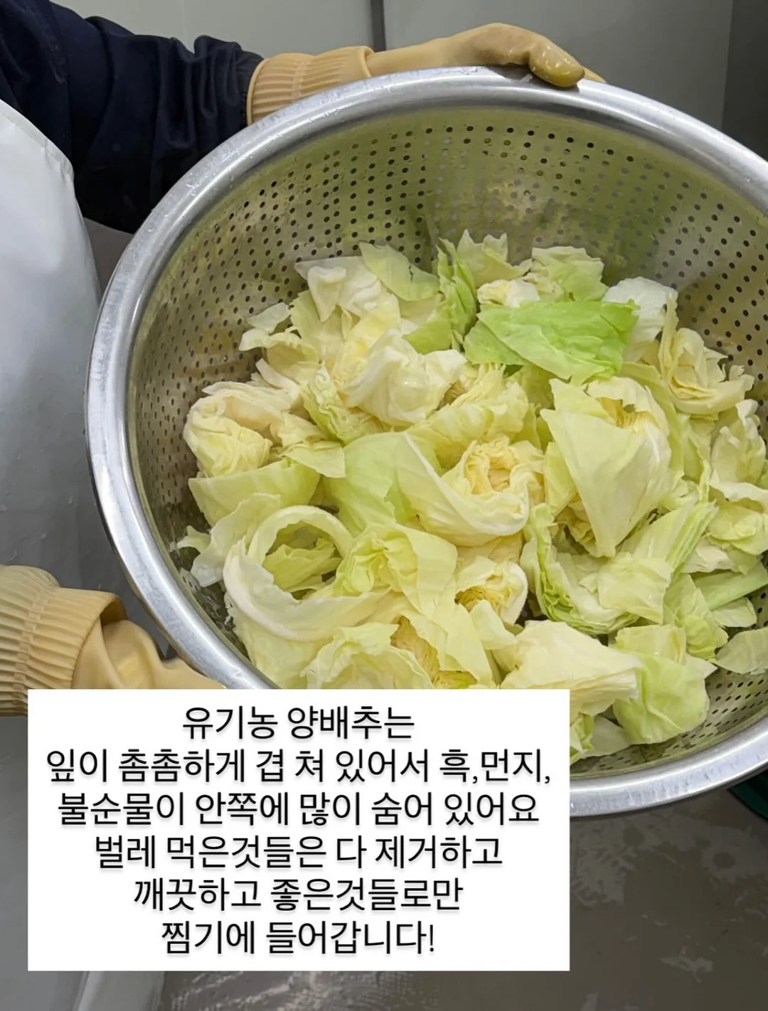 장미 꽃다발 8