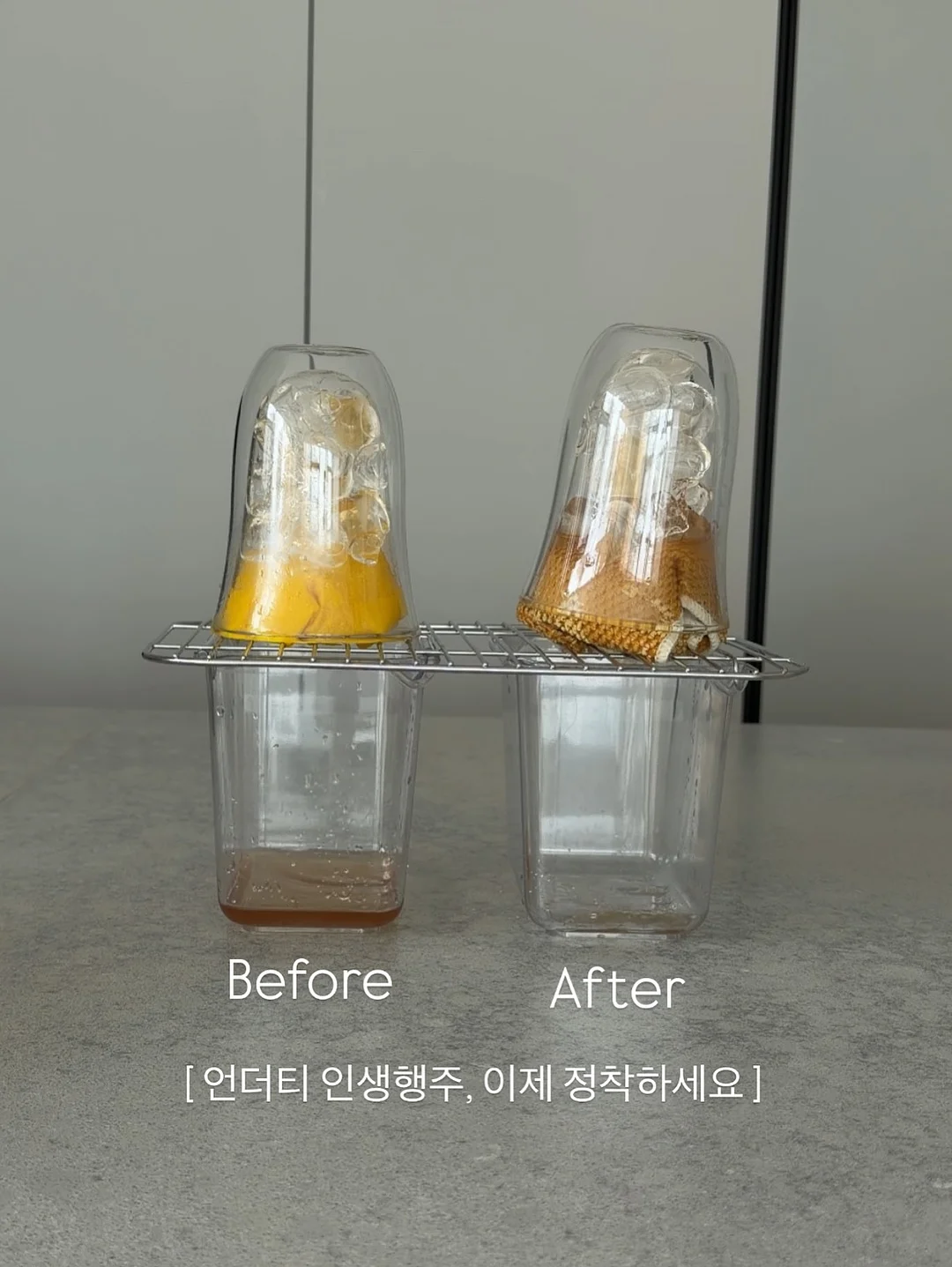 대학교명함 8