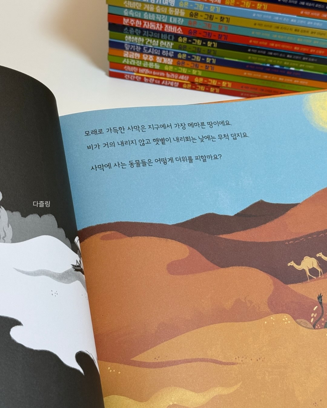 스커트 셋업 6