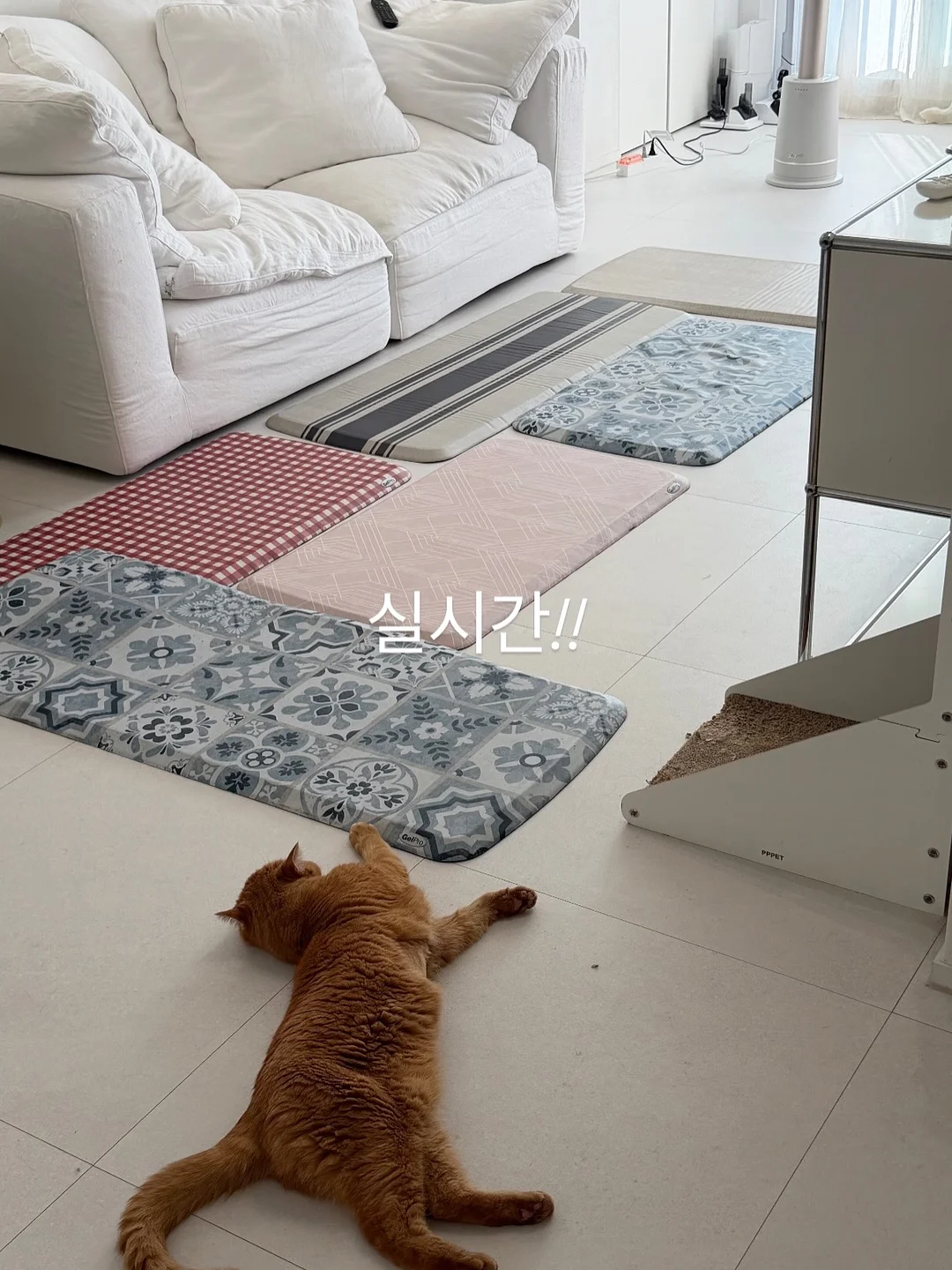 무료 수업 8