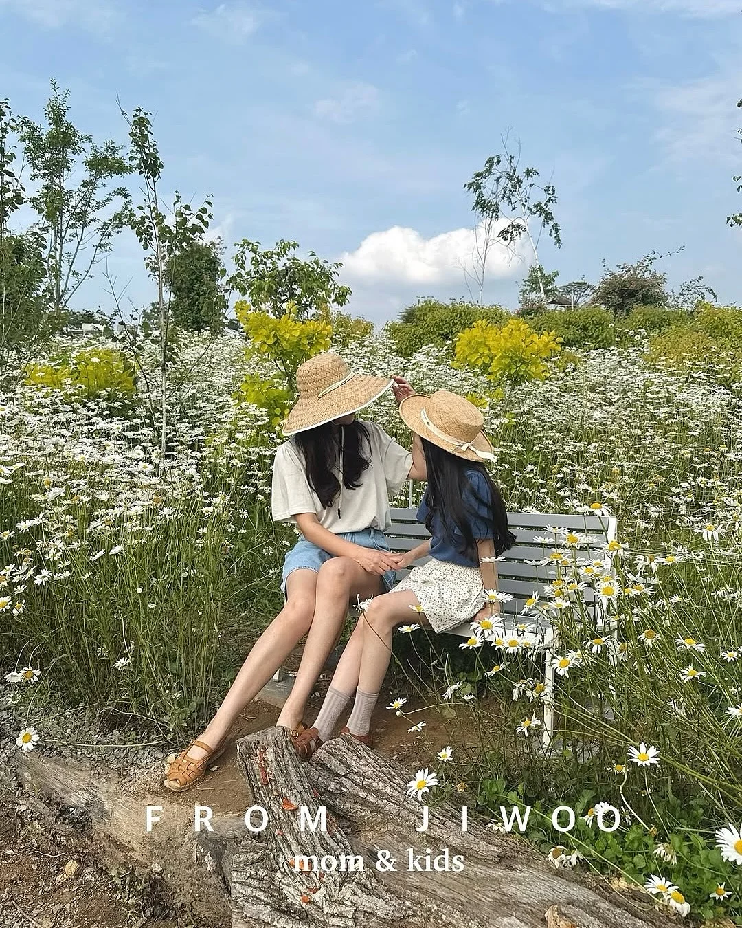 햄치즈샌드위치 1