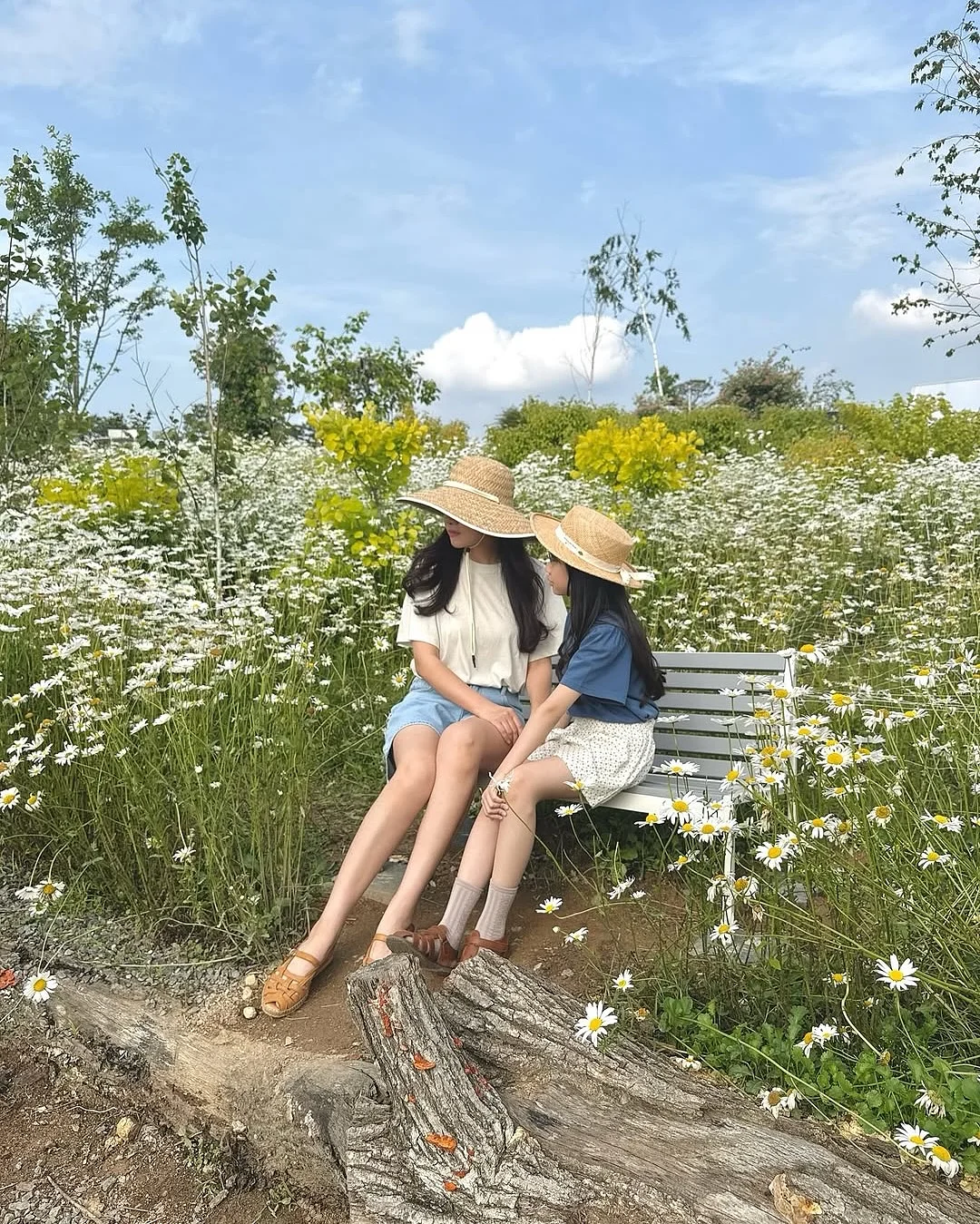 햄치즈샌드위치 3