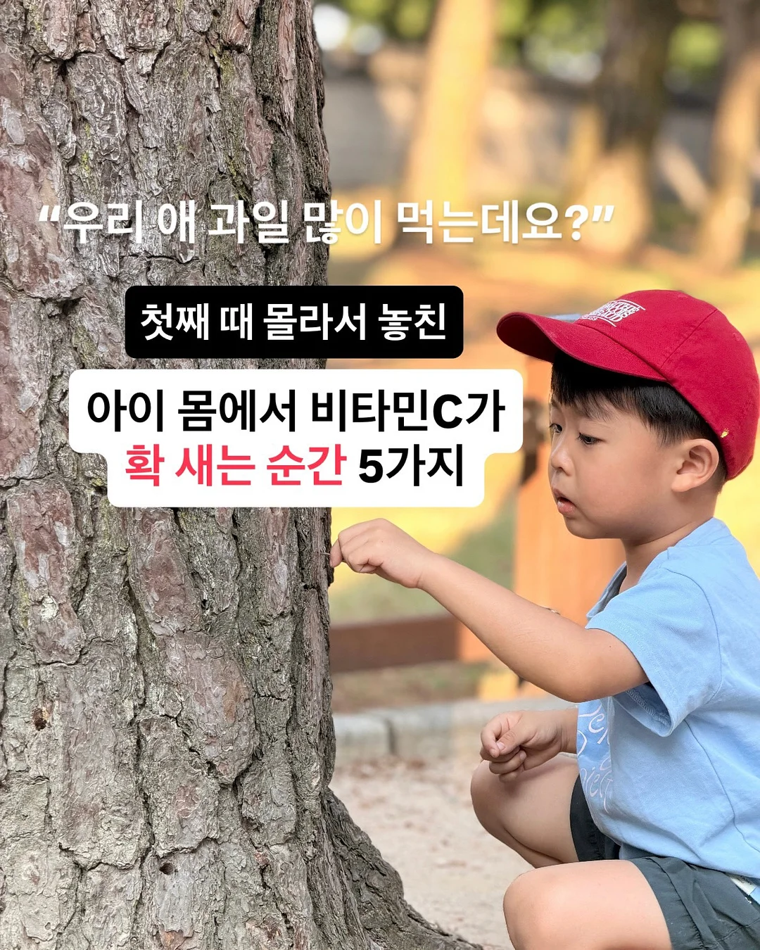 청년두부 손두부 1
