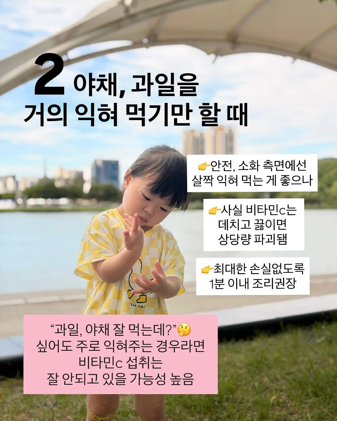 청년두부 손두부 3