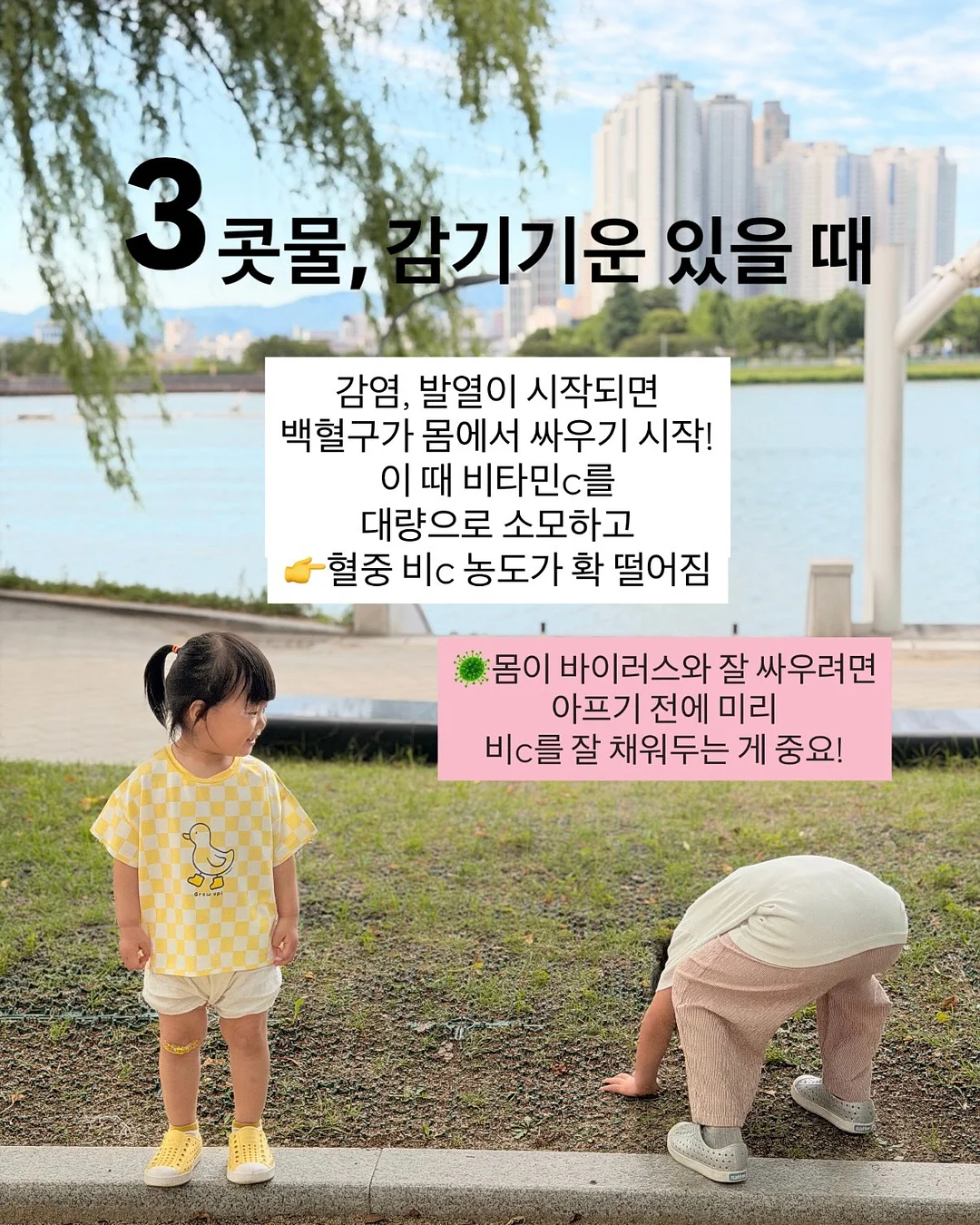 청년두부 손두부 4