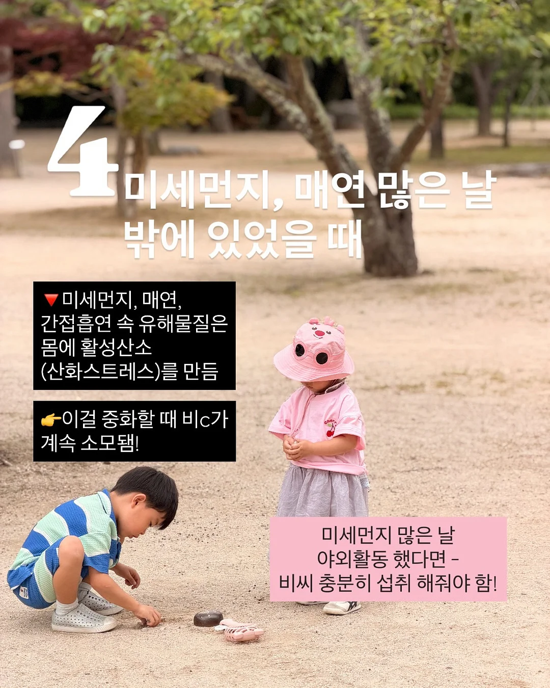 청년두부 손두부 5