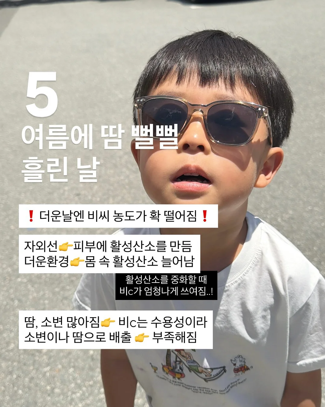 청년두부 손두부 6