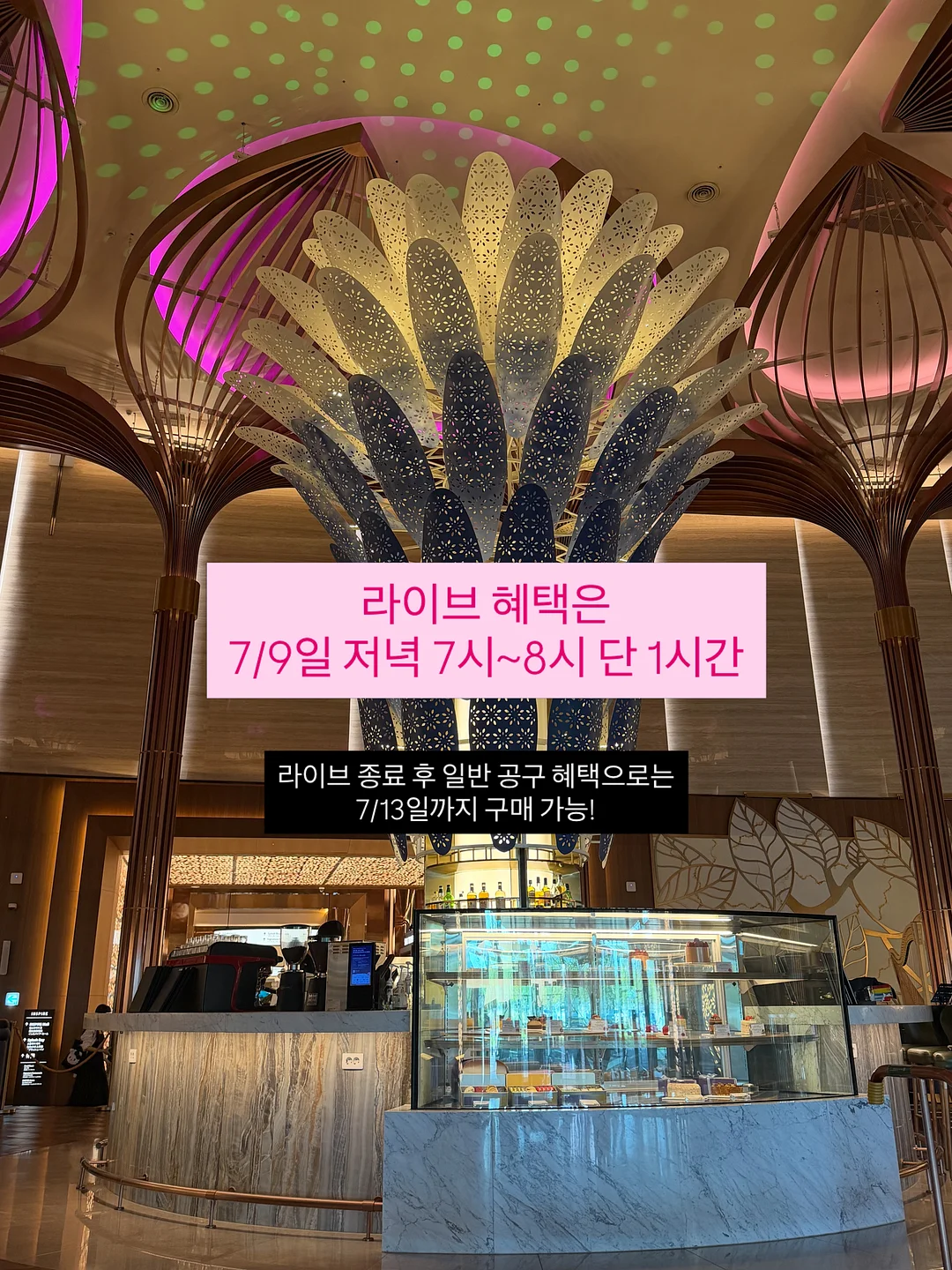 삼단 트레이 플레이트 18