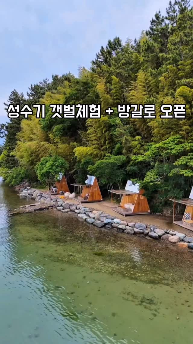 홈 스케일링 제품