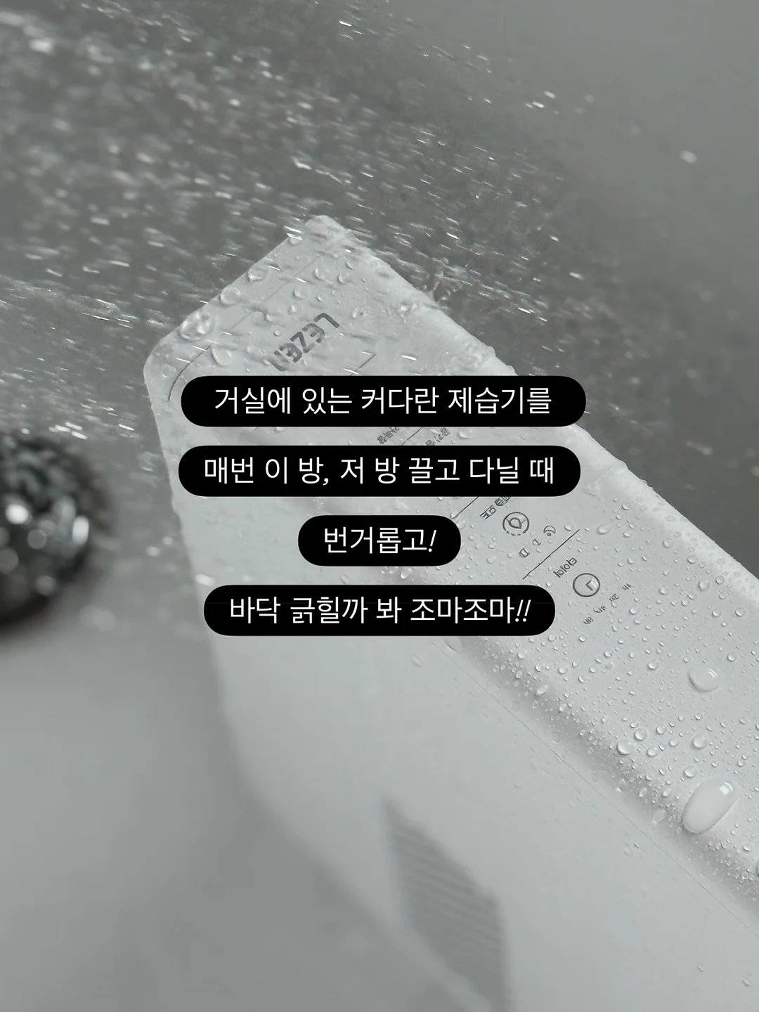 꽃다발 카드지갑 3