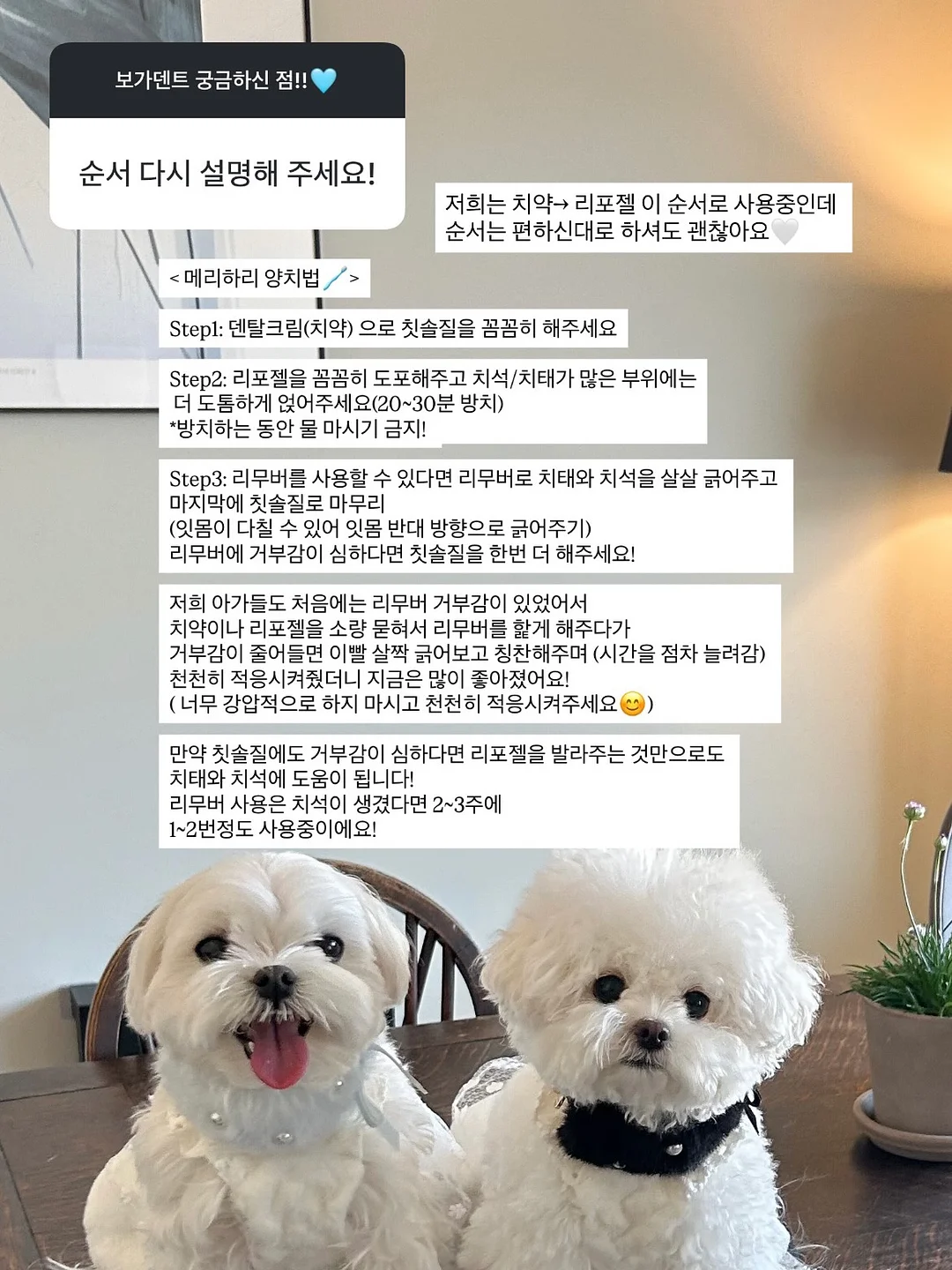 모공주사 홈케어 7
