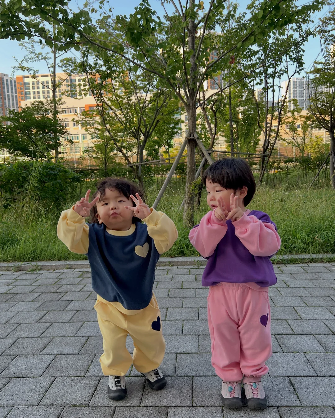 장미10송이 12