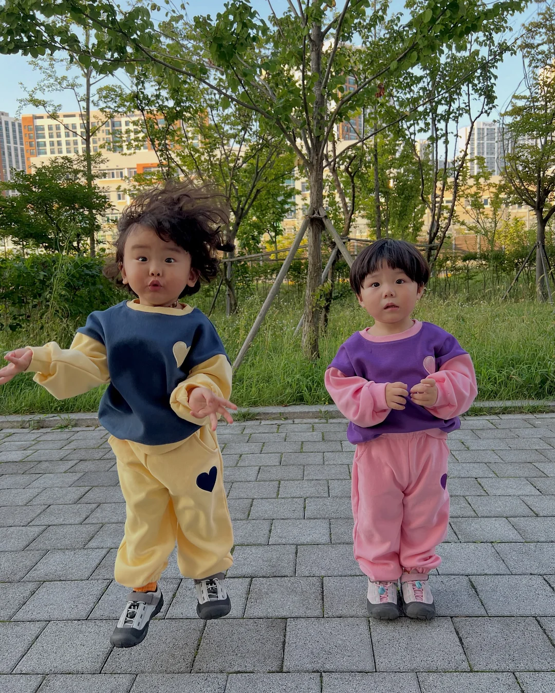 장미10송이 13