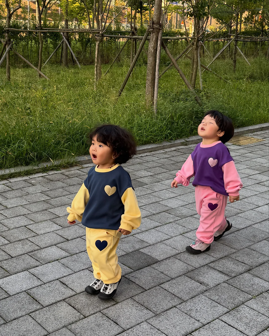 장미10송이 17