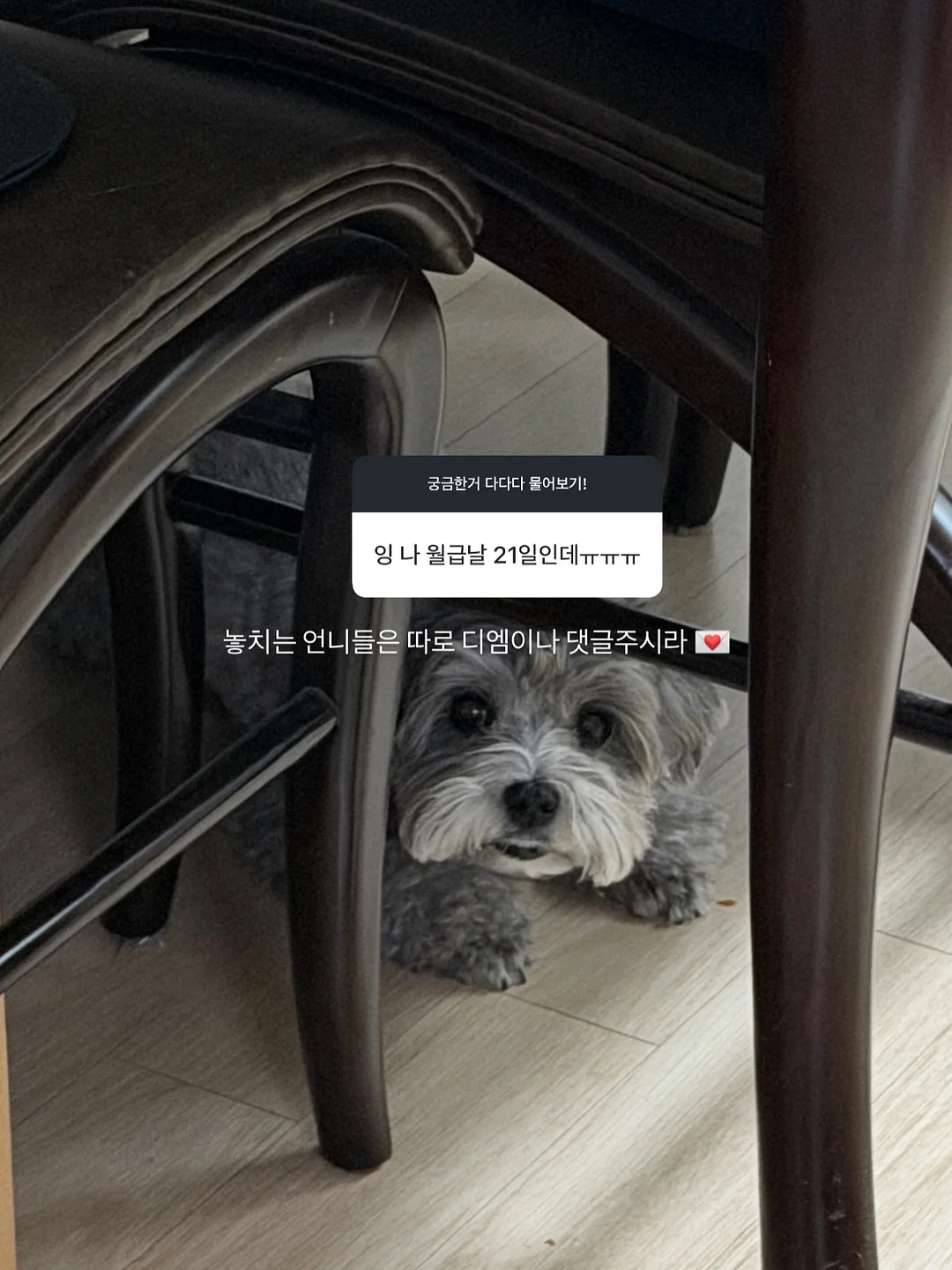키즈 꾸준히 주문 많은 아이 20