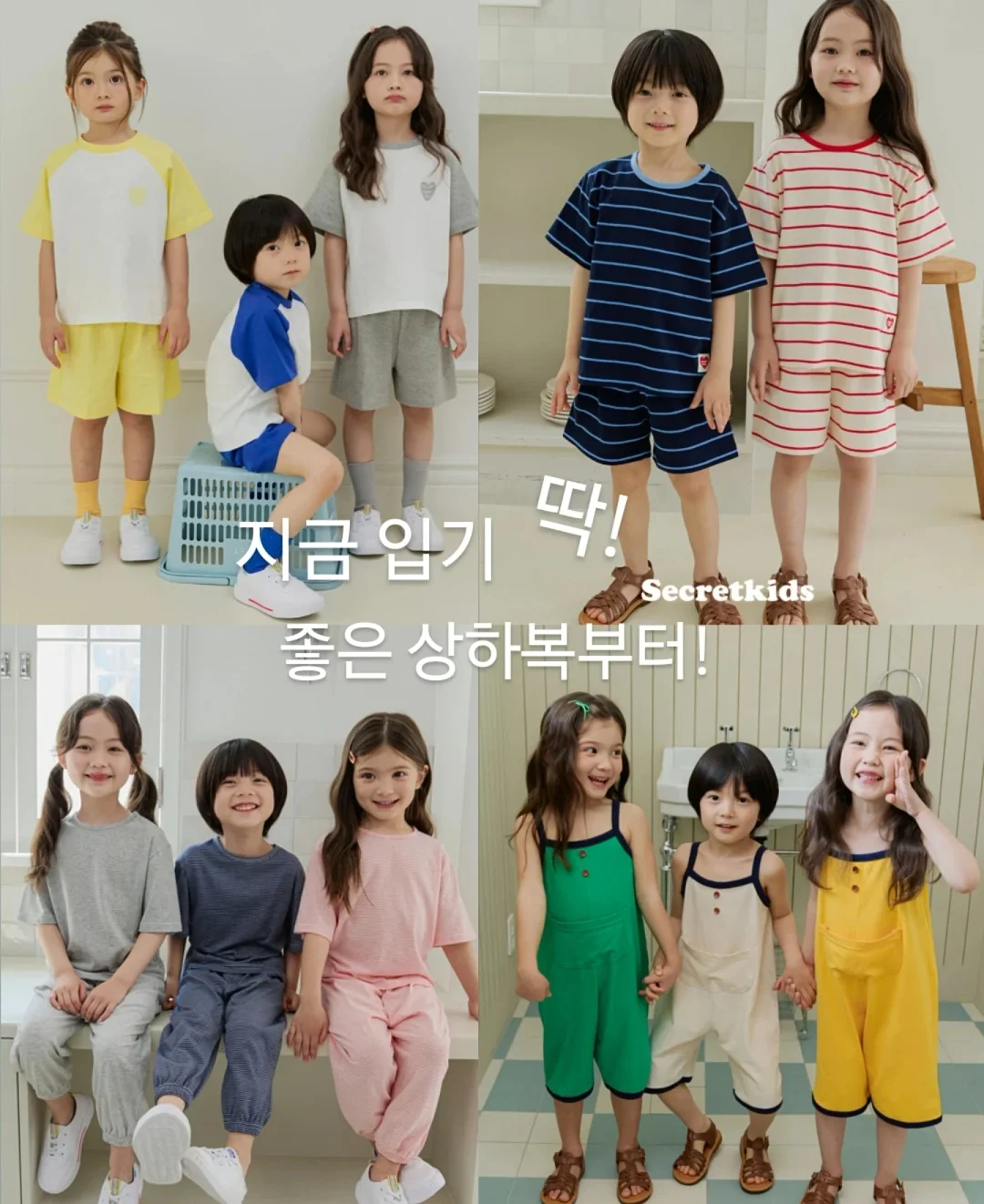 파일럿 캐리어 3