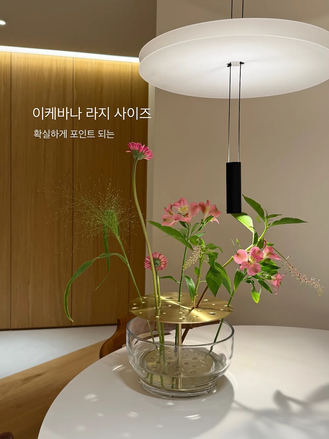 그라프 나비 11